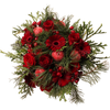 Rudolph