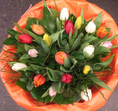 lente